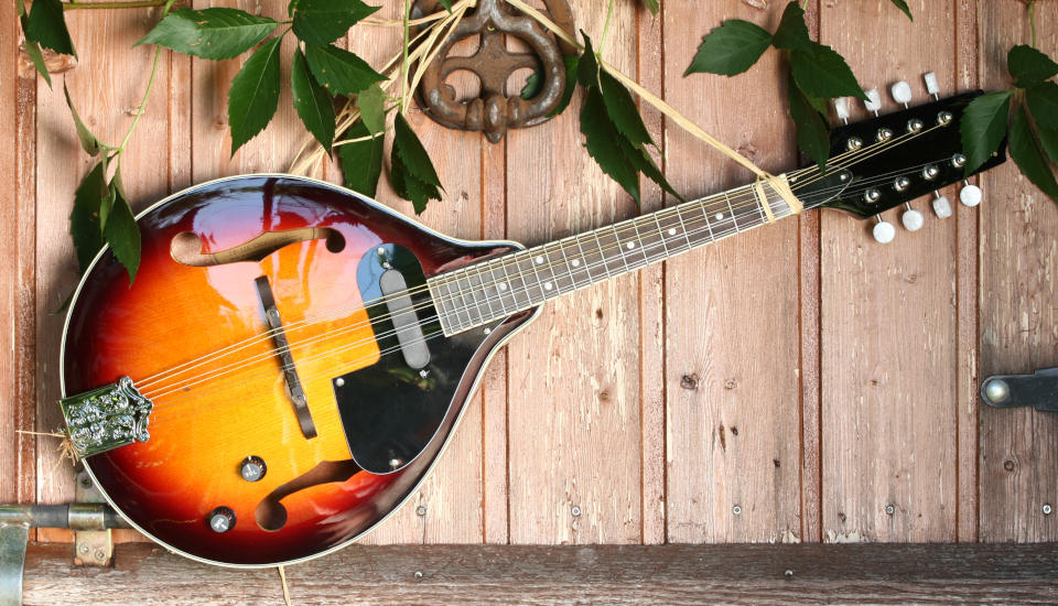 Featured image for "Mandolin Lessons Nashville TN" page on MusicLessonsNashville.com depicting an artsy, rustic photo of a mandolin hanging on a wooden wall framed in with green vegetation and rusty hardware.